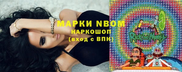 метадон Алексин